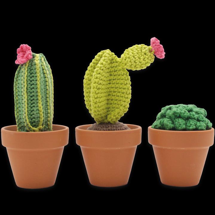 Actual product image Hardicraft Cacti - Crochet Set