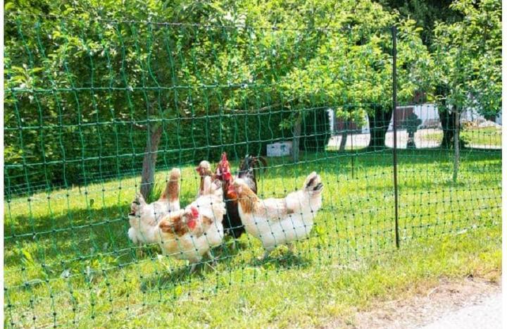 Image du produit Kerbl PoultryNet