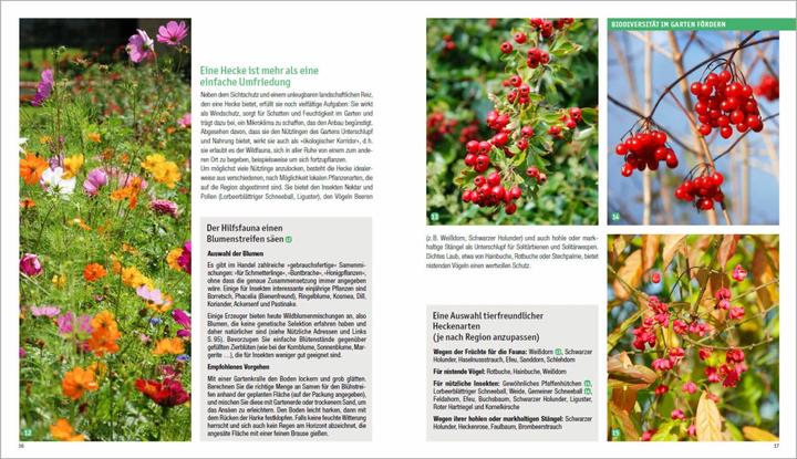 Produktbild Giftfrei gärtnern. Die besten Methoden und Tipps für einen naturnahen Garten ohne Chemie. (Deutsch, Sandra Lefrançois, 2021)