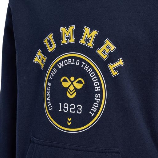 Image du produit hummel Hoodie De Géographie (122)