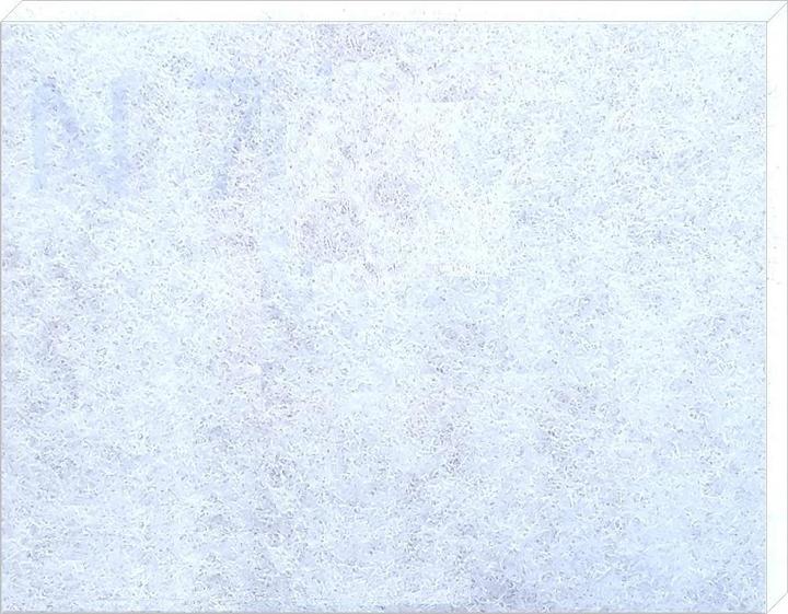Image du produit RG Filtermedien 100 filtres de rechange pour Meltem Vario - 200x160 mm