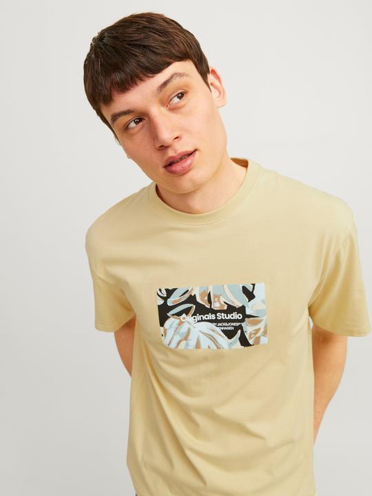 Immagine prodotto Jack & Jones Jorsequoia Tee Ss Crew Neck Ln (XS)