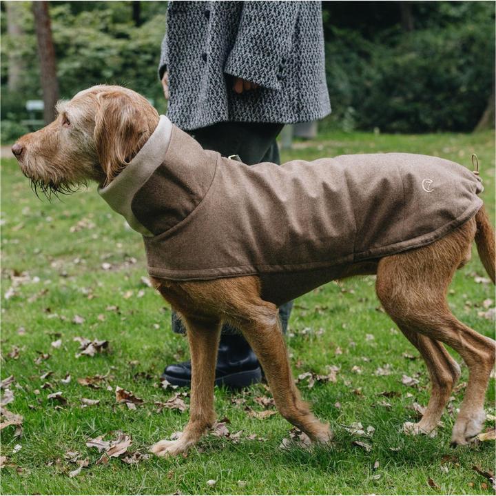 Actual product image Cloud 7 Dog coat Brooklyn (5, Dog coat)