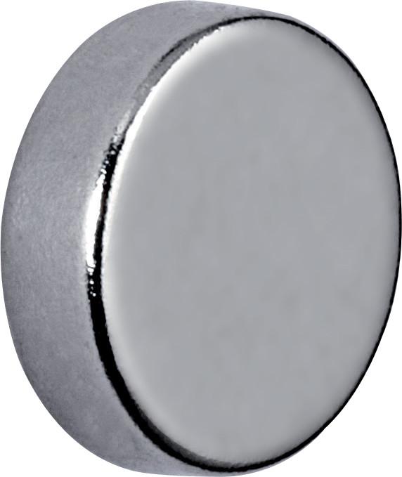 Actual product image Maul Neodymium magnet (10 x)
