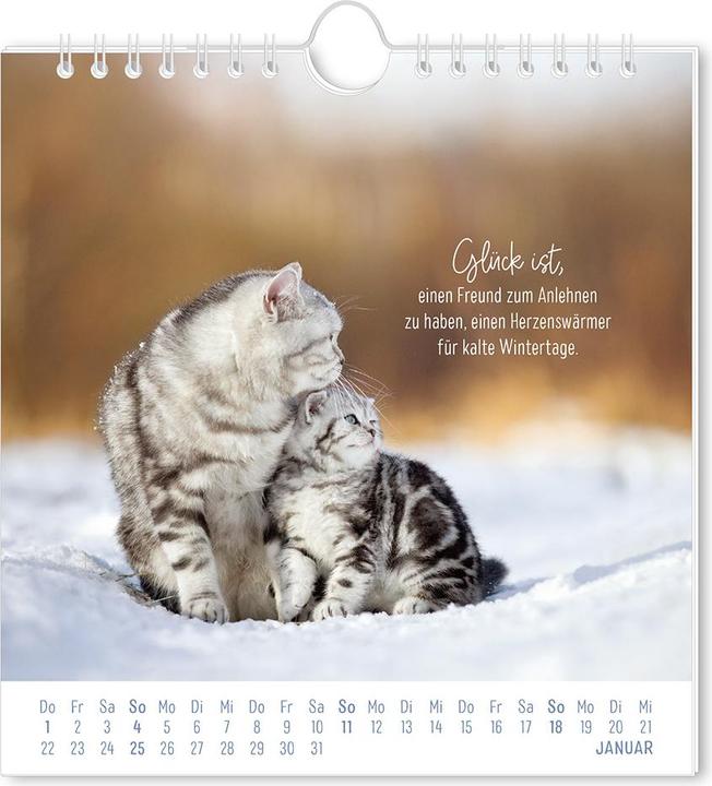 Produktbild Postkartenkalender 2026 Auf leisen Pfot (16 x 17 cm, Harter Einband, Deutsch)