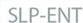 Actual product image Seiko SLP-ENT name badges, 2 rolls of 300 cards each (7.50 cm)