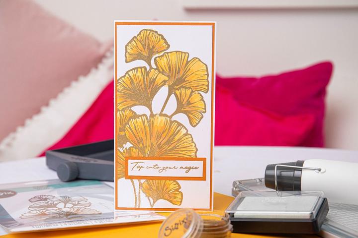 Produktbild Sizzix Klarsichtstempel Set 4 Stück - Cosmopolitan Inspiriert von Stacey Park