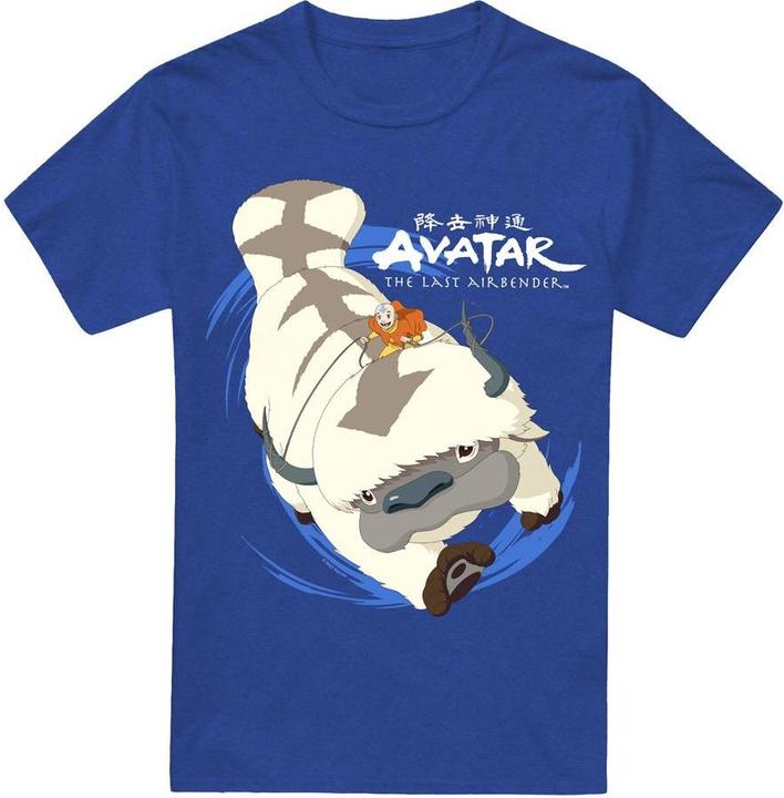 Avatar: The Last Airbender In Flight TShirt (3XL)