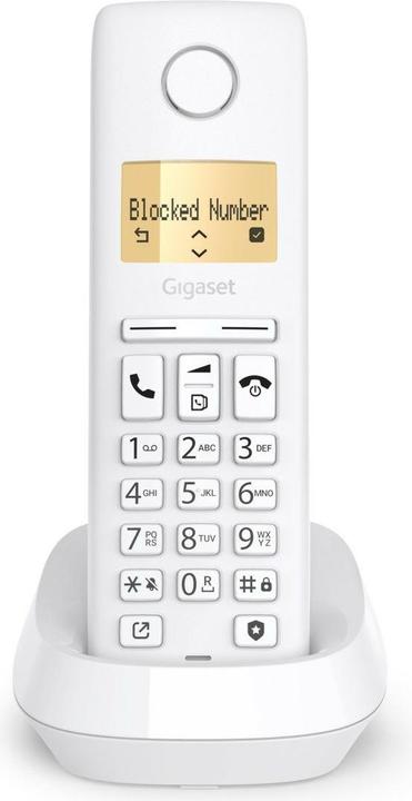 Actual product image Gigaset Pure 100 DECT Clip Eco ws