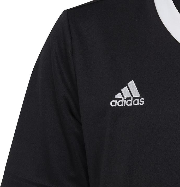 Actual product image adidas Entrada 22 Jersey (164)