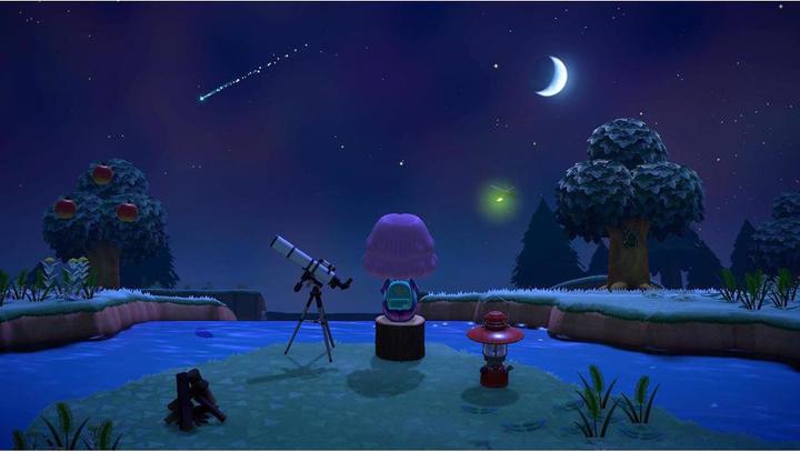 Image du produit Nintendo Switch Lite + Animal Crossing + Switch Online