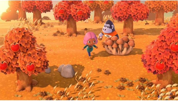 Image du produit Nintendo Switch Lite + Animal Crossing + Switch Online