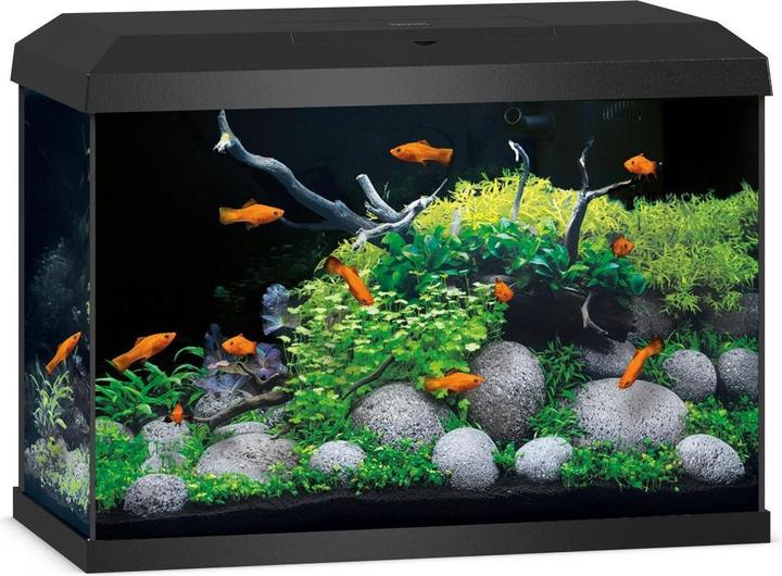 Juwel Aquarium Primo 70 (70 l)