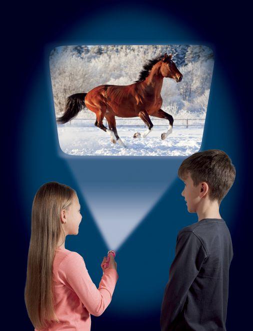 Image du produit Brainstorm Torche à cheval et projecteur