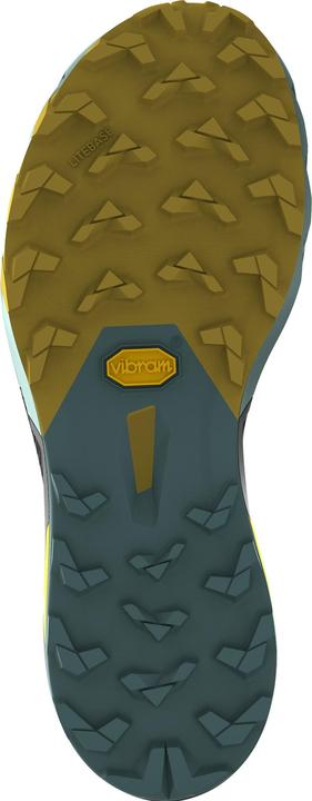 Actual product image Dynafit Alpine Pro 2 Laufschuh (48.5)