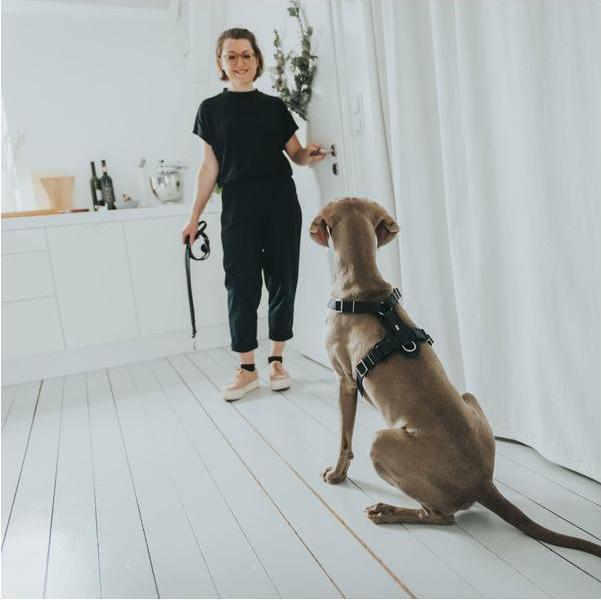 Actual product image Hunter Tableware Aalborg (M, L, Dog, General)