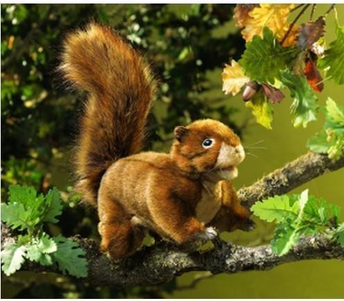 Actual product image Folkmanis Squirrel