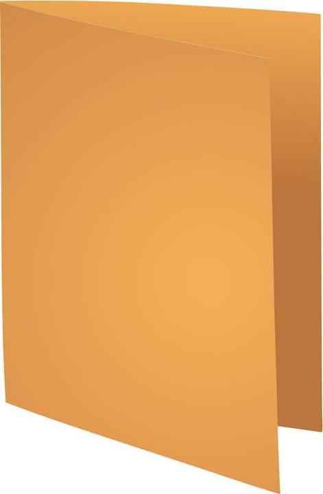 Immagine prodotto Exacompta Scrapbook - Copertine di file (A4, 100 x)