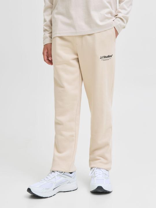 Actual product image Jack & Jones Relaxed Fit Hosen Junior Relaxed Fit Hosen (176)