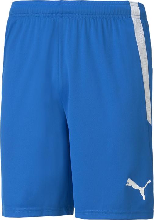 Puma teamLIGA Shorts (XS)