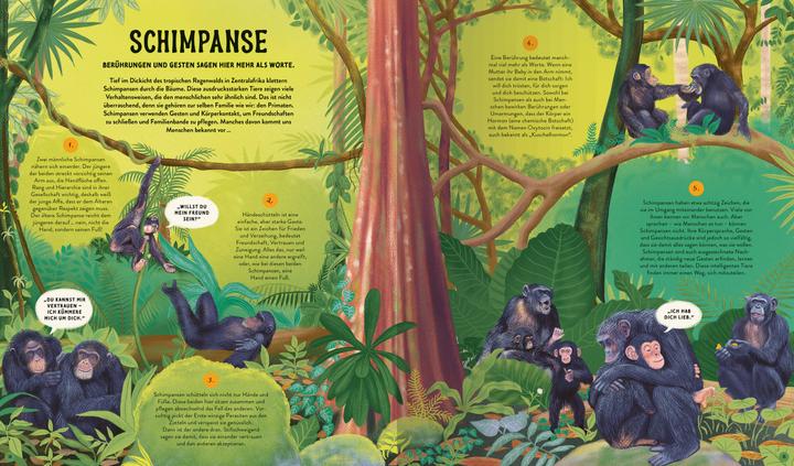 Actual product image Ravensburger Die Sprache der Natur - ein Sachbuch über Tiere und Pflanzen für Kinder ab 4 Jahre 48 zauberhafte (German, Gabby Dawnay, Karin Ehrhardt, Margaux Samson Abadie, 2025)