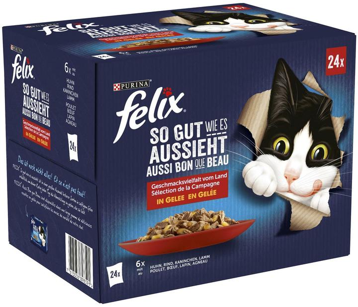 Felix Carne di Agail (Adulto, 24 pz., 2040 g)