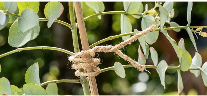 Actual product image Windhager Jute binding wire (1000 cm, 0.30 cm)
