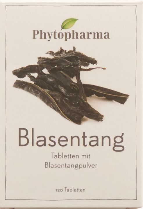 Produktbild Phytopharma Blasentang Kapseln (120 Stück, Kapseln, 0.38 g)
