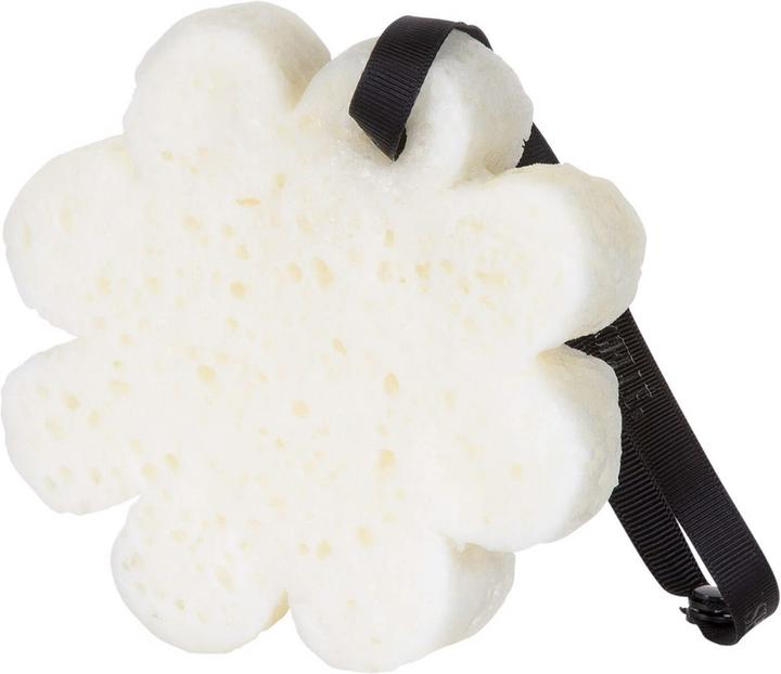 Actual product image Spongellé Boxed Flower - Beach Grass