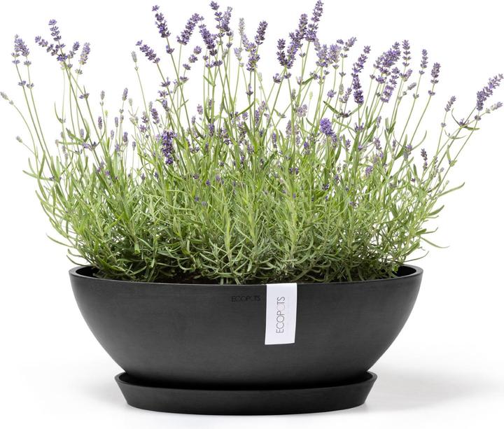 Produktbild Ecopots Vienna (50 cm)