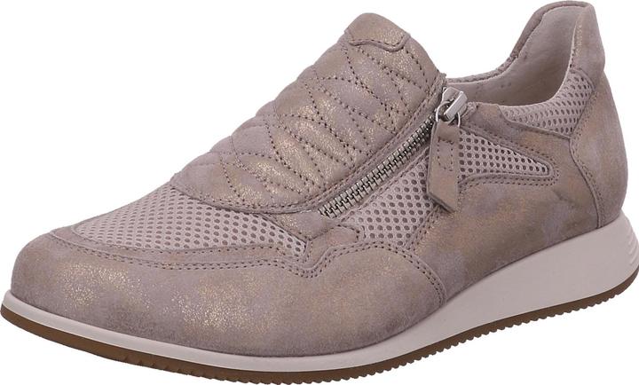 Beige, Muschel