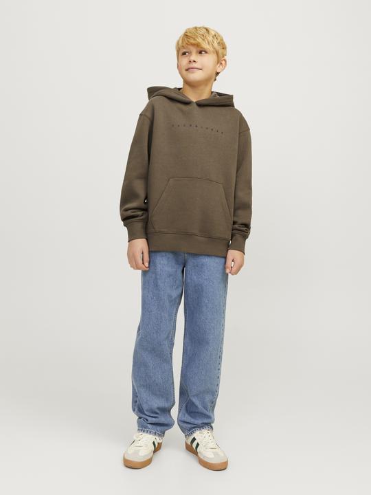Actual product image Jack & Jones Jjestar Jj Sweat Hood Noos Jnr (128)