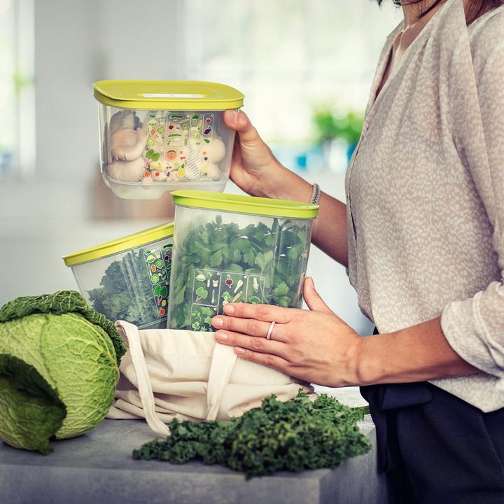 Actual product image MediaShop Tupperware FridgeSmart set of 5