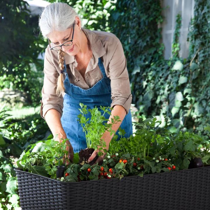 Actual product image Keter Easy Growing