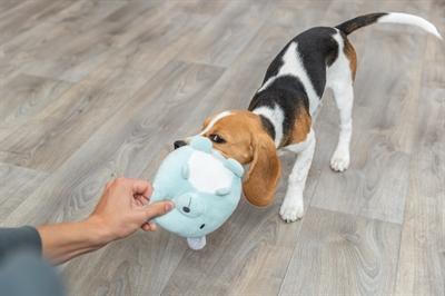 Actual product image Trixie Pluche Beer Mintgroen Voor Puppy (Plush toy dog)