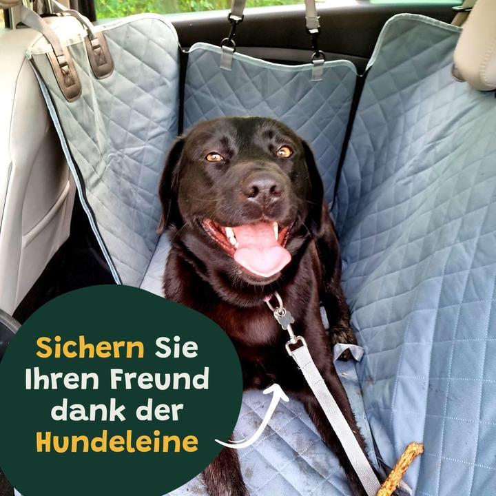 Produktbild Die Bellende Katze Autodecke für Hunde (Hund, Faltbar)