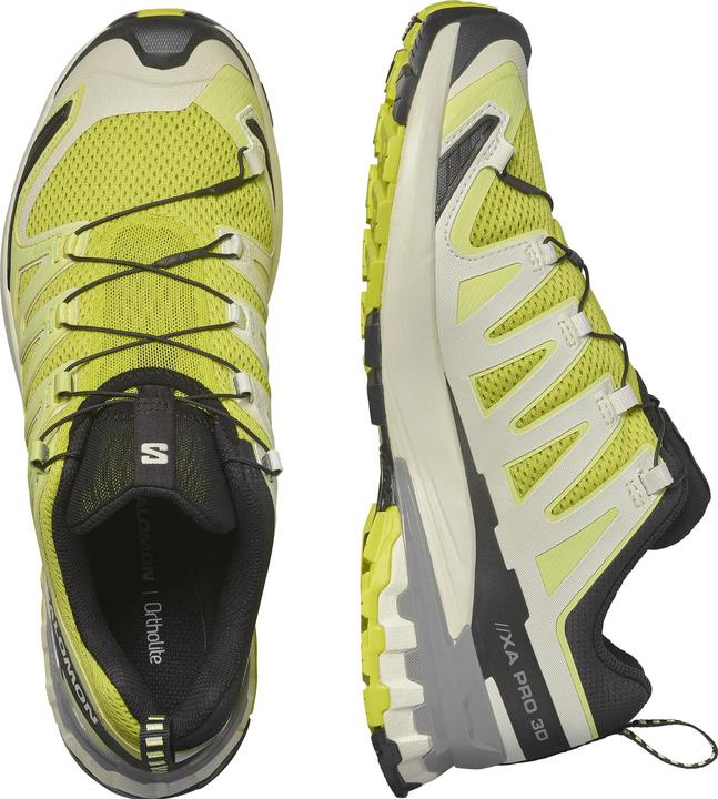 Image du produit Salomon XA Pro 3D V9 (42)