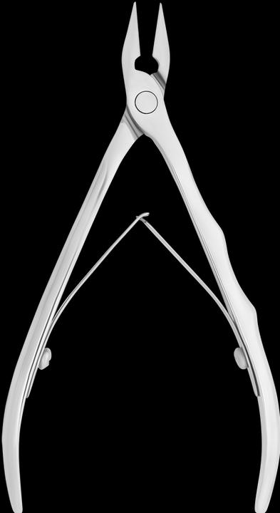Image du produit Staleks Pince à ongles EXPERT 61 Acier inoxydable AISI 420 12 mm