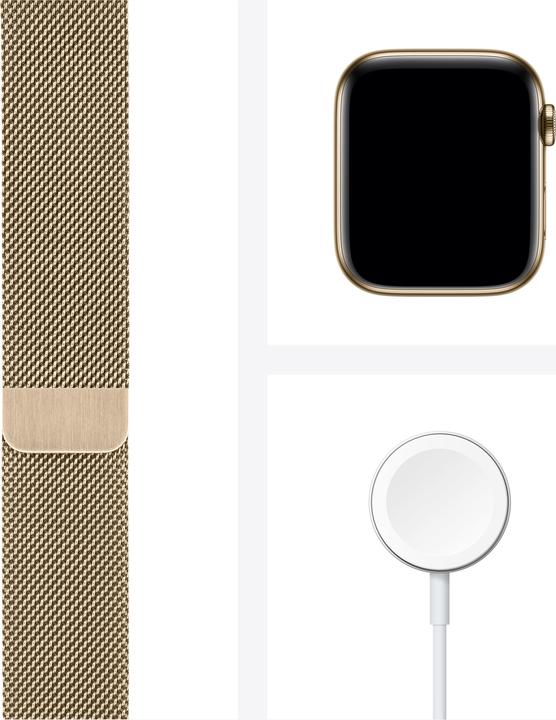 Immagine prodotto Apple Orologio Serie 6 (44 mm, 4G)