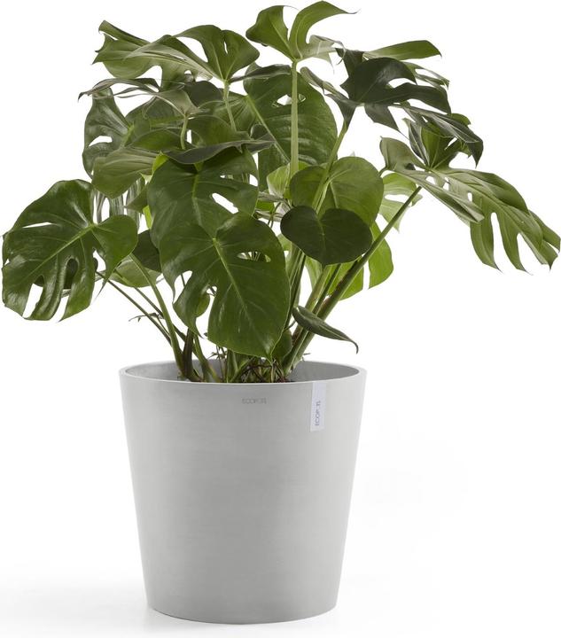 Produktbild Ecopots Amsterdam + Wasserbehälter (50 cm)
