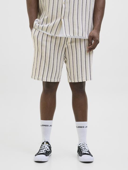 Actual product image Jack & Jones Jpstjaiden Coba Stripe Jog Short Sn Pls (48)