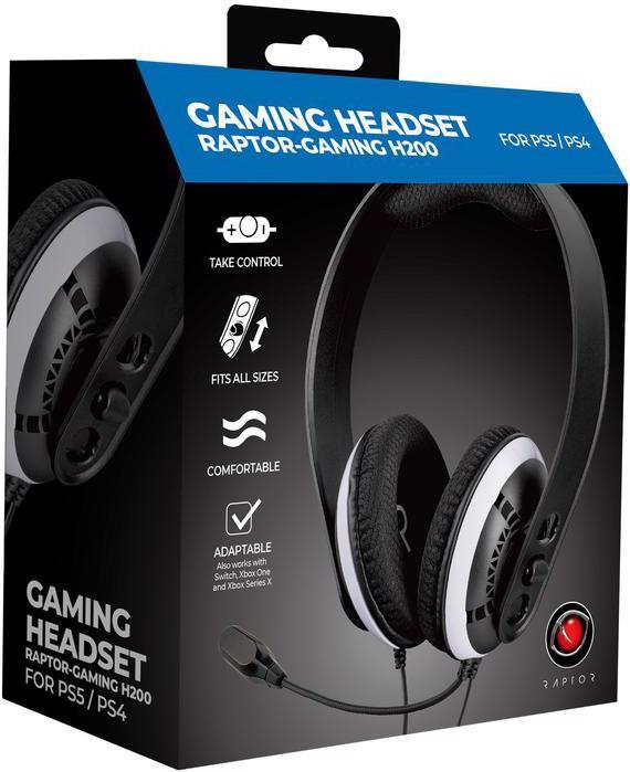 Produktbild Raptor Gaming H200 (Kabelgebunden)
