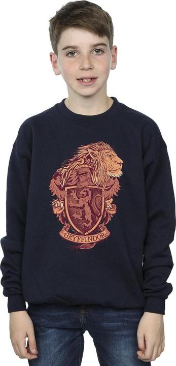Produktbild Gryffindor Sketch Crest Sweatshirt Jungen (140, 146)