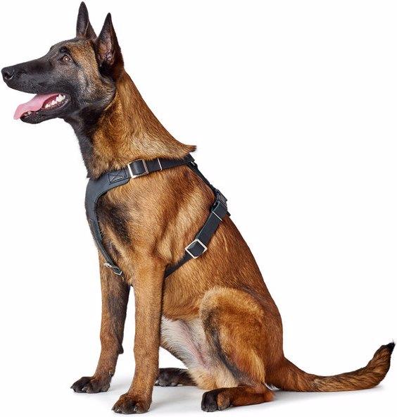 Actual product image Hunter Tableware Aalborg (M, L, Dog, General)