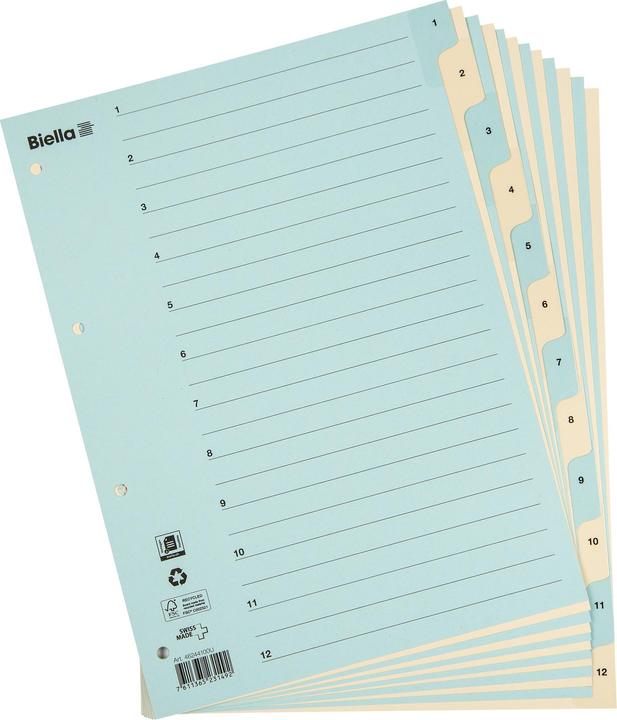 Actual product image Biella Register Cardboard coloured