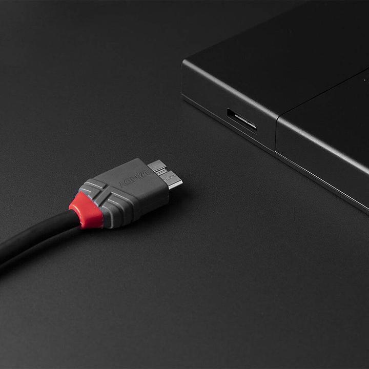 Produktbild Lindy USB 3.2 Typ C an Micro-B Kabel, Anthra Line (2 m)