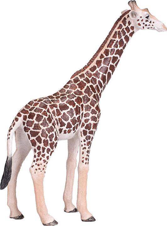 Actual product image small foot Animal Planet Giraffe