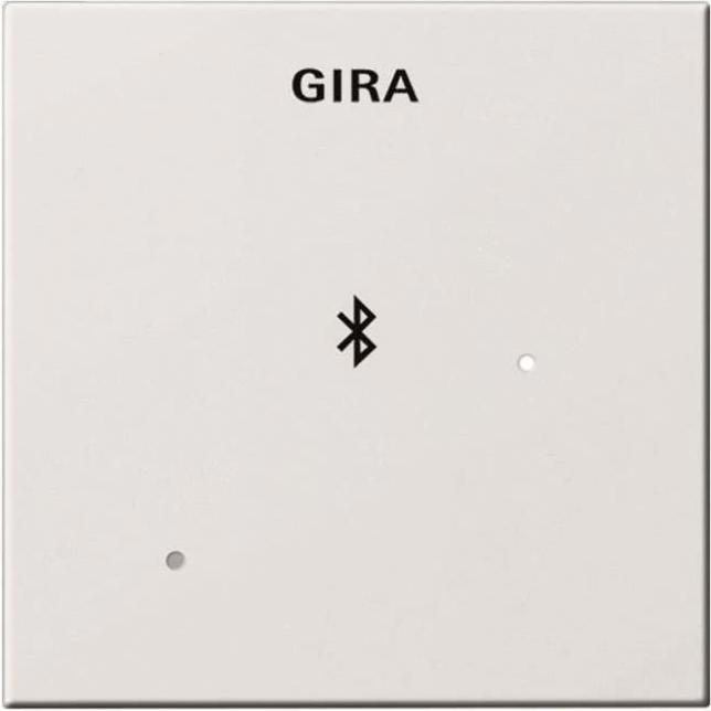 Produktbild Gira Dockingstation Blind- 228803 Abdeckung System 55 Reinweiss