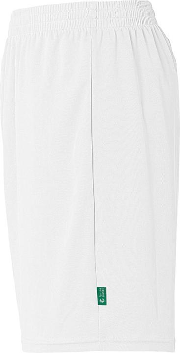 Actual product image Kempa Team Shorts (XL)