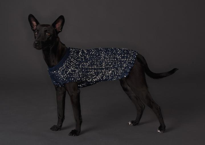 Image du produit Hunter Pull pour chien Finja (45, Pull-over pour chien)